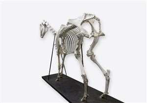 Image description is not available for 1983.26.1